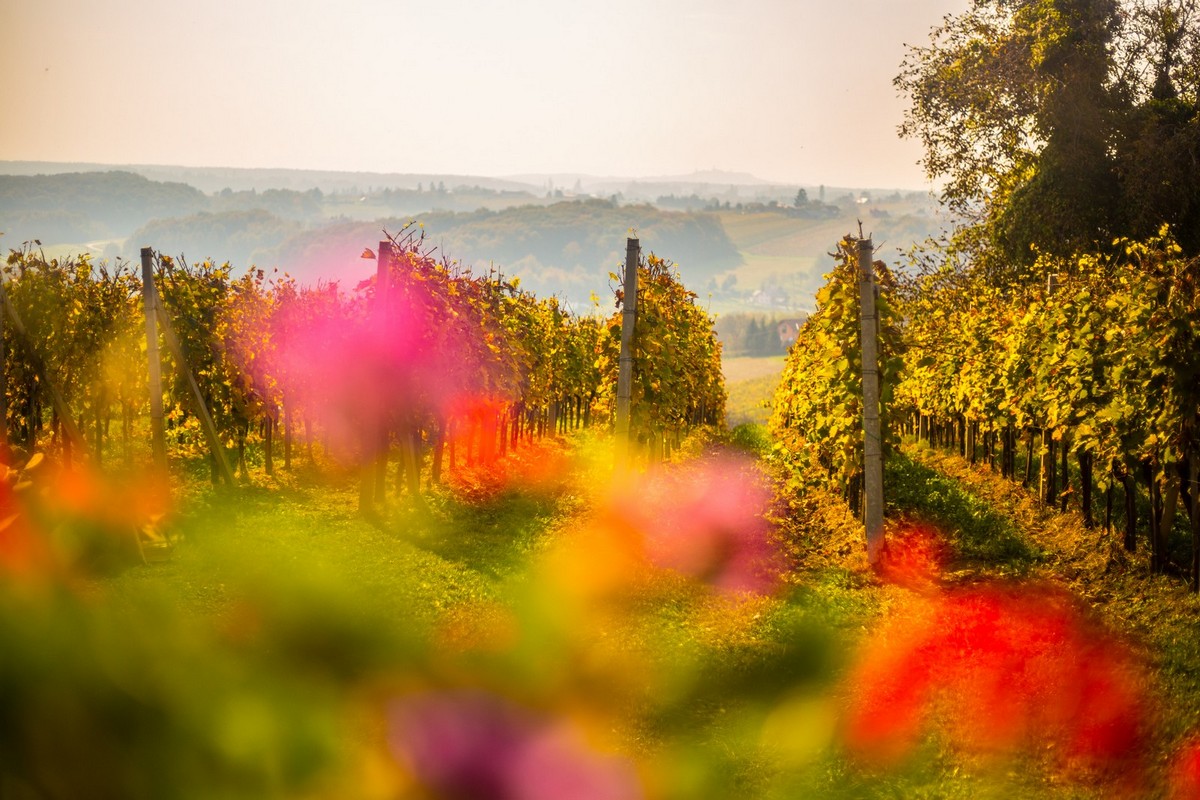 Jesenska rapsodija kroz objektiv Miroslave Novak