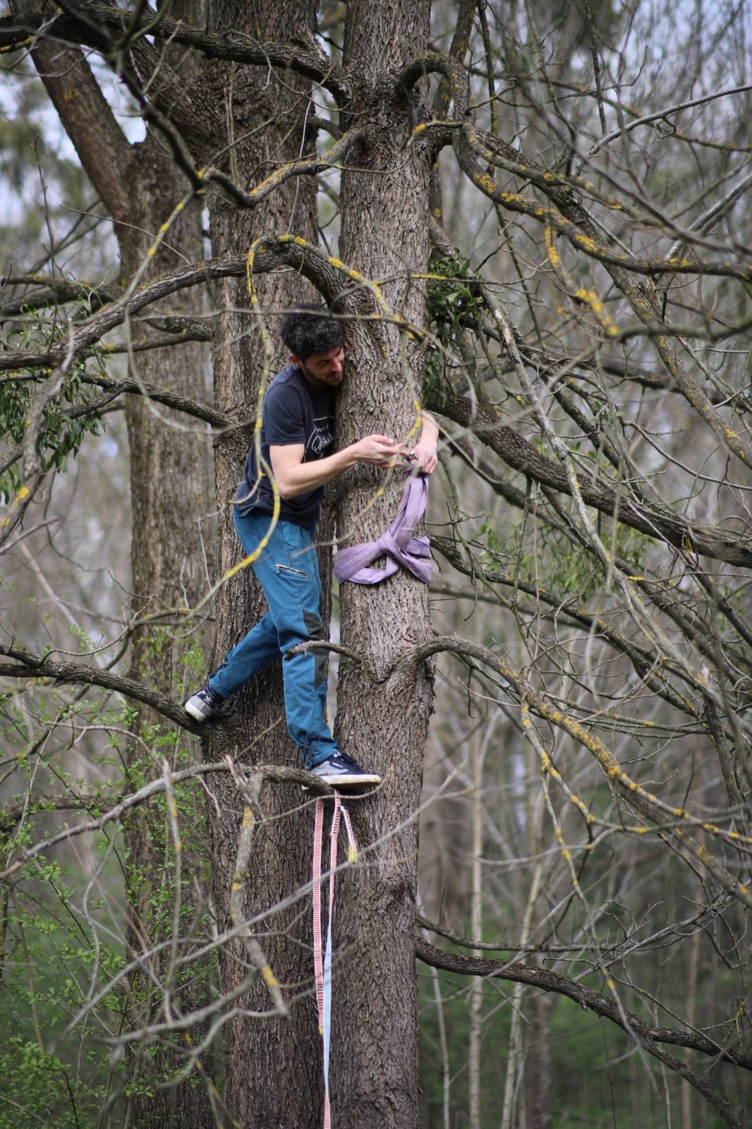 Filip Golubić Filip Golubić