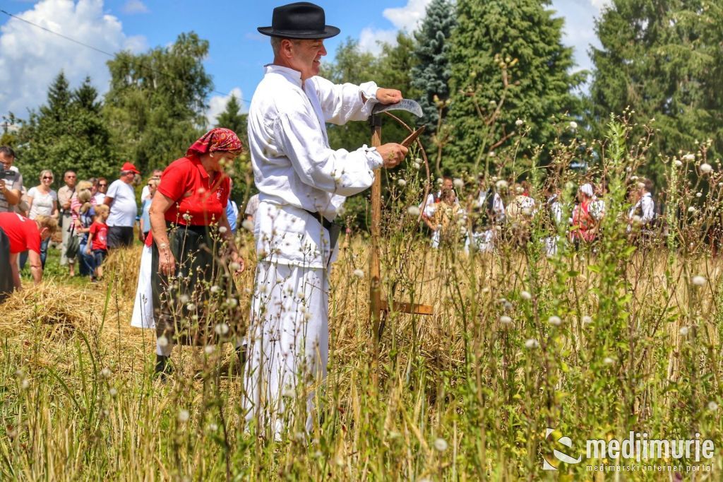 1964808410212312053853439134851