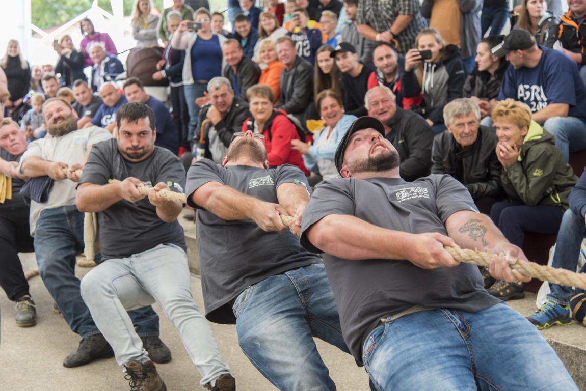 Image 5803689 (auto)