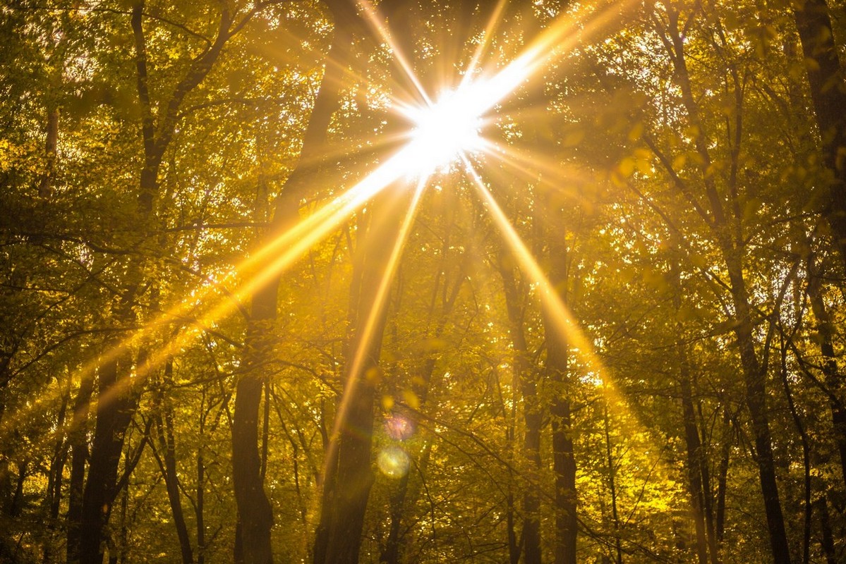 Jesenska rapsodija kroz objektiv Miroslave Novak