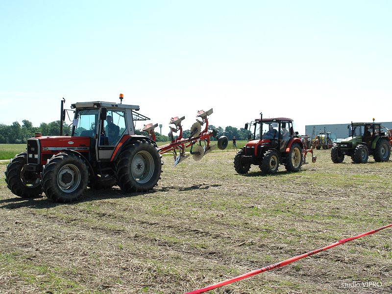 353915402dsc06424960813