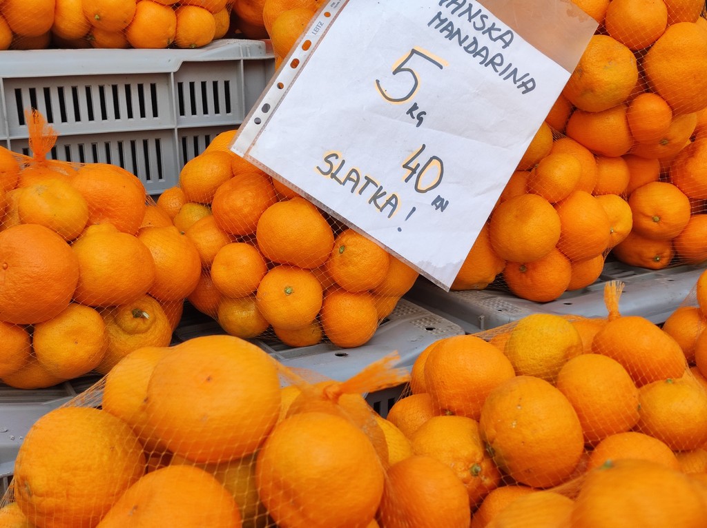 SAJAM SRIJEDOM Jeste li već probali meksički krastavac ili čajot?