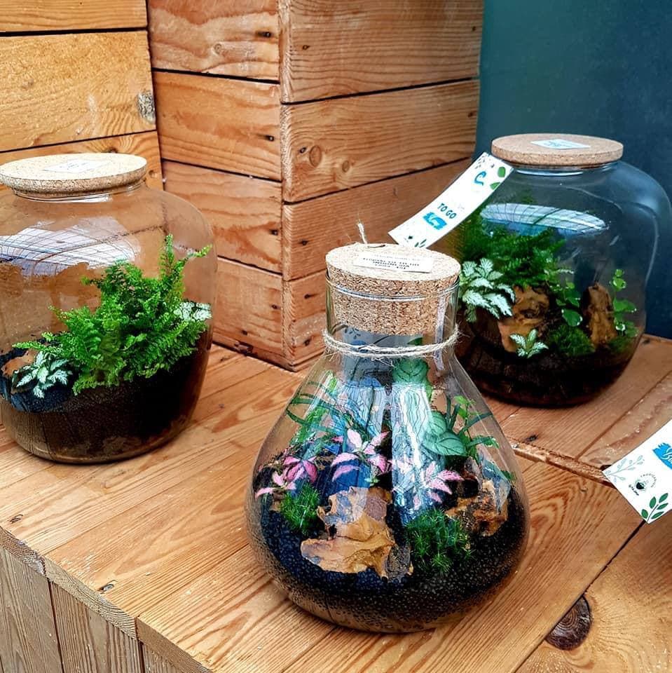 Image 5818433 (auto)