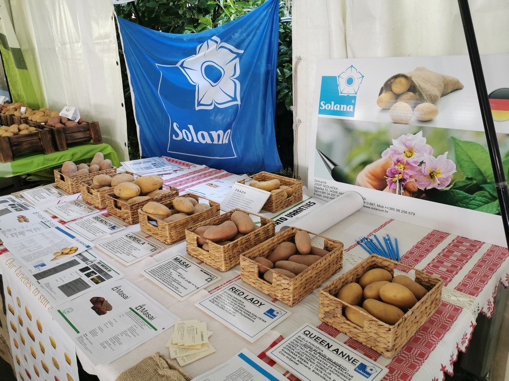 Festival krumpira u Belici