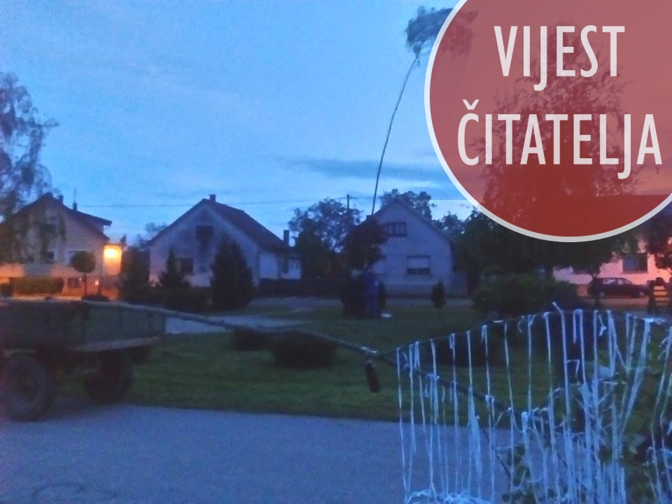 1121228110203344429046212197672