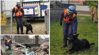 STIŽE POMOĆ I IZ MEĐIMURJA Zvjezdana Kušter i pas Tesla idu spašavati ljude u Tursku