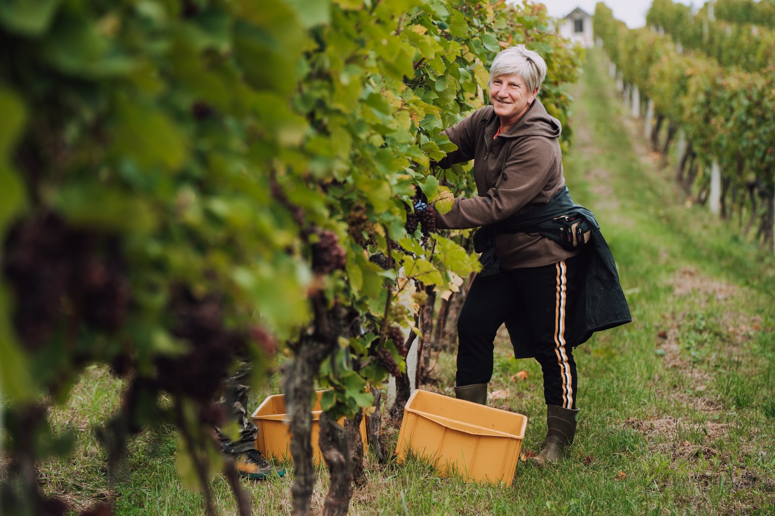 Image 5076588 (auto)