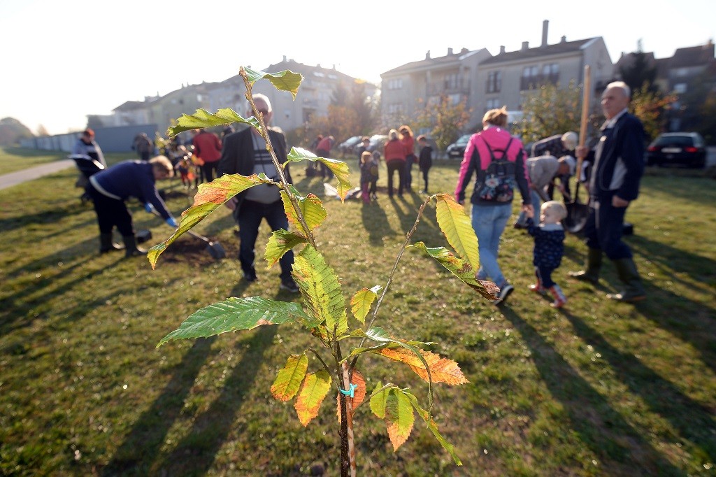FOTO Velik broj građana subotnje prijepodne iskoristio za sadnju stabala u Čakovcu