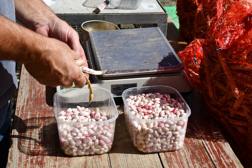 SAJAM U ČAKOVCU Sajam je preplavilo obilje svježeg voća i povrća