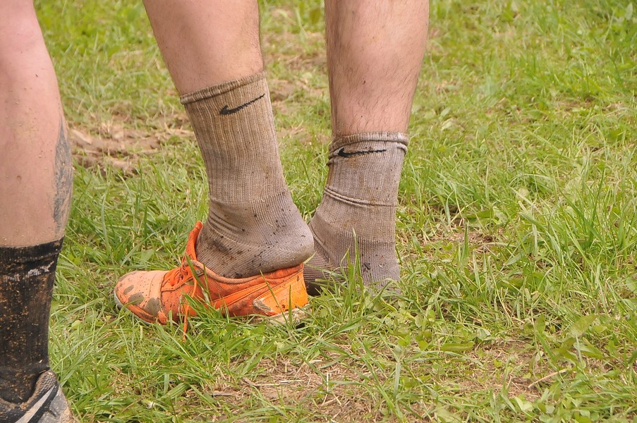 Hog race na imanju PG Geler