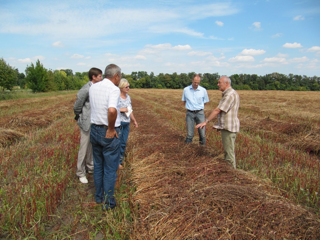 Boris Šafar – uvoznik žitarica
