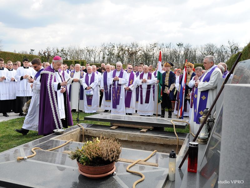 342714816dsc5487433175