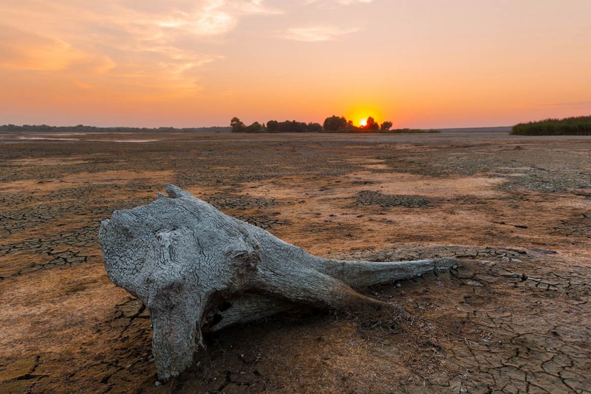 Fotografije koje će vas oduševiti – autori Davor Žerjav i Silvio Benč