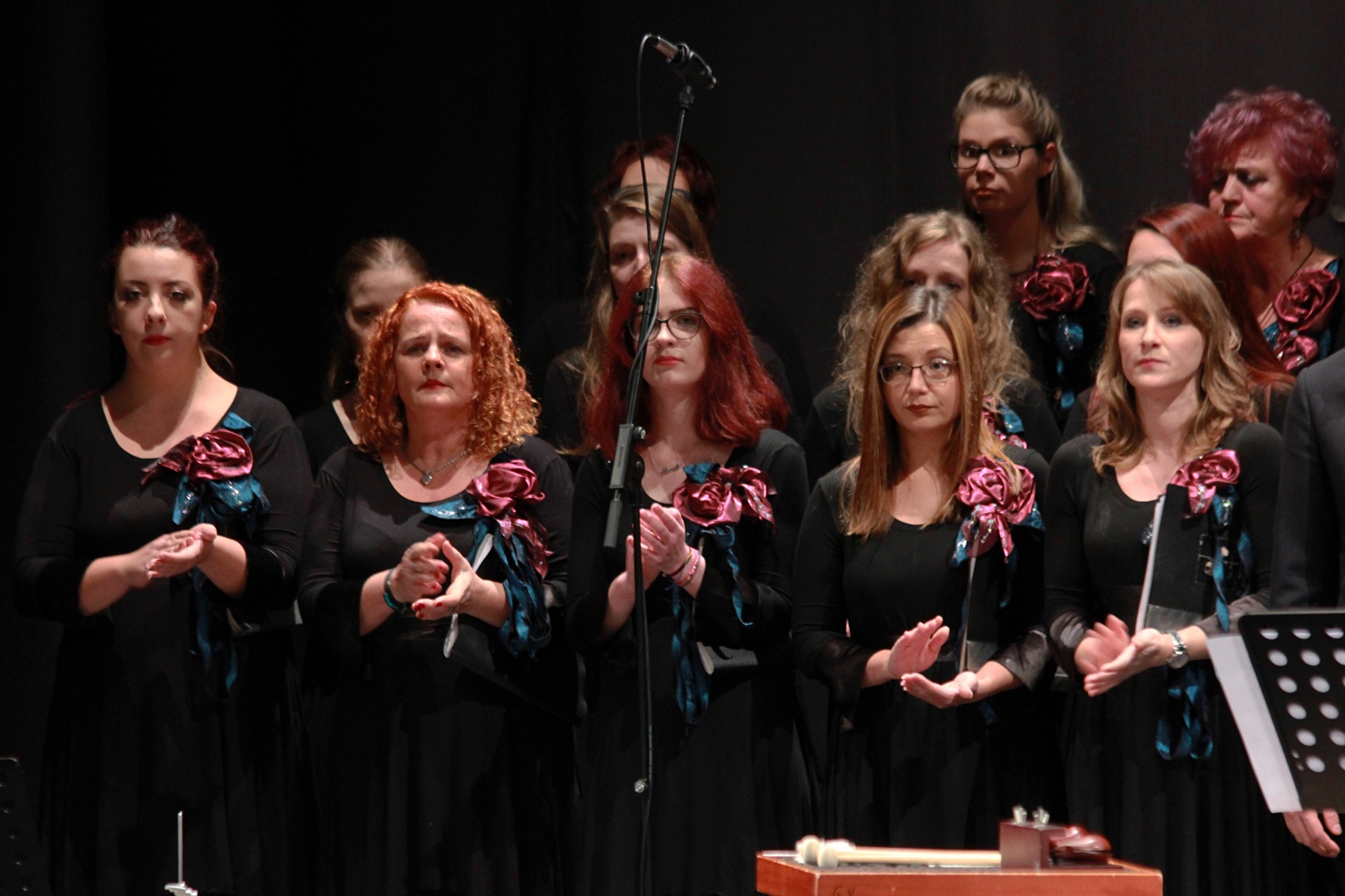 ŽupanijskI tamburaškI orkestr ‘Stjepan Bujan-Stipić’ održao jubilarni koncert povodom 20 godina djelovanja