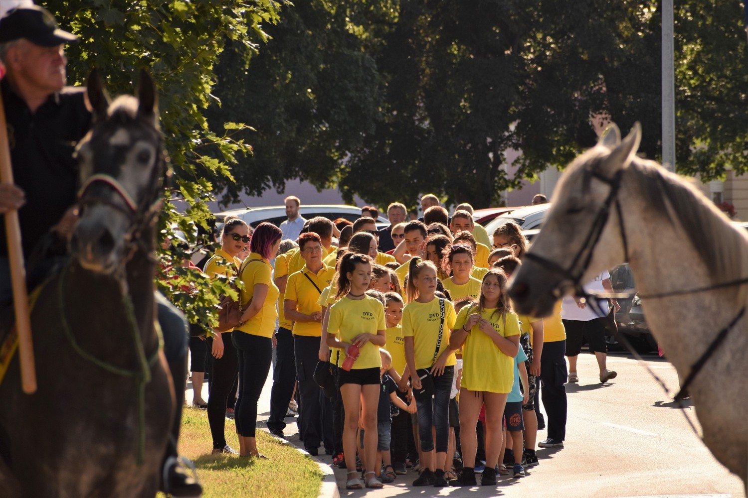 Dan Savske Vesi proslavljen uz tradicionalan mimohod mještana i udruga, zabavan program i besplatan grah