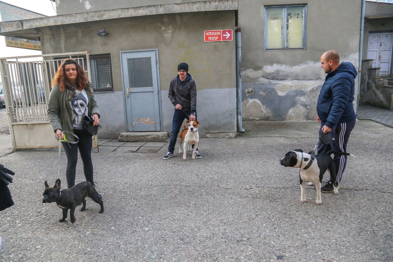 Humanitarno fotkanje s ljubimcima za pomoć azilu Prijatelji Čakovec