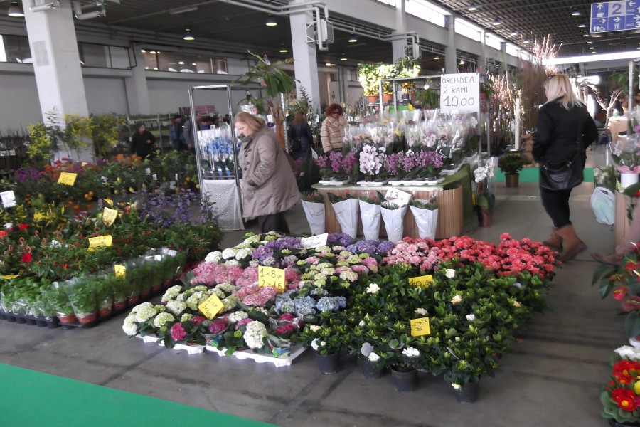 4e8c12cad1d109c8fa3dcf90d0f2151