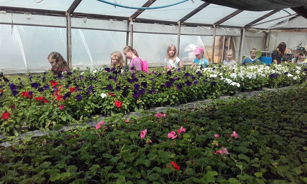 20160516121618414777