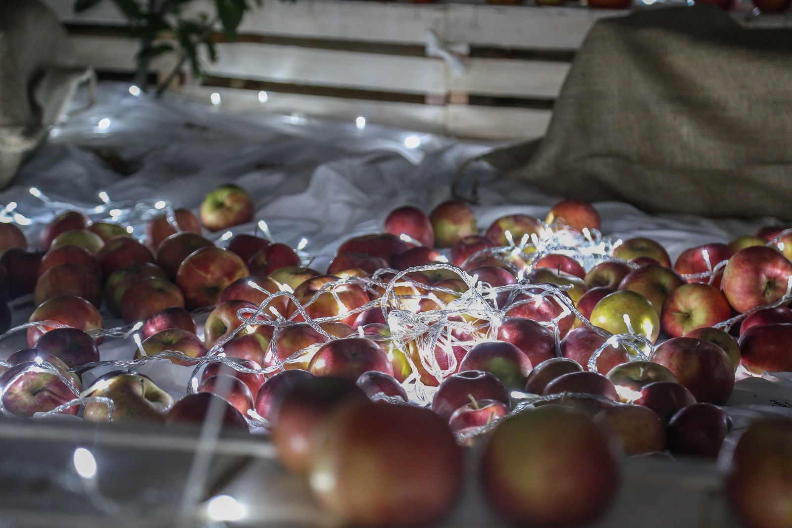 Upaljena prva adventska svijeća u Čakovcu: Predivna rasvjeta zasjala gradom