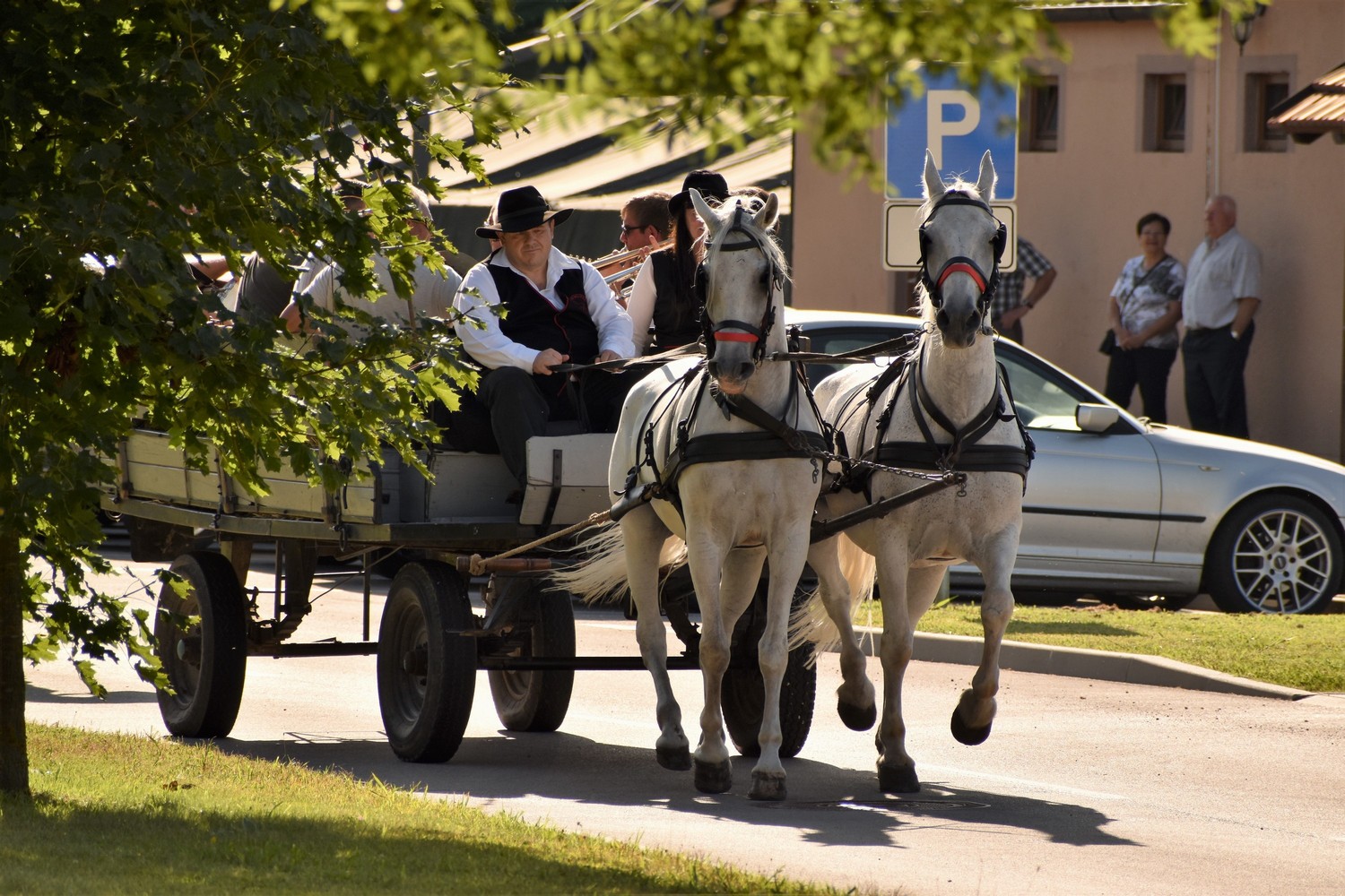 Dan Savske Vesi proslavljen uz tradicionalan mimohod mještana i udruga, zabavan program i besplatan grah