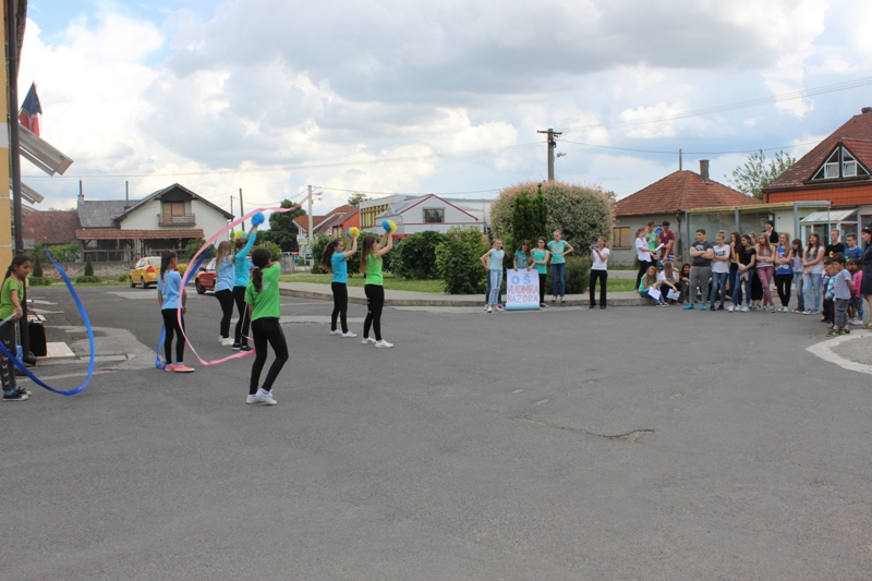 flashmobpribislavec20162350916