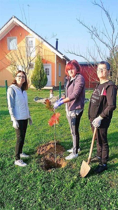 FOTO Velik broj građana subotnje prijepodne iskoristio za sadnju stabala u Čakovcu