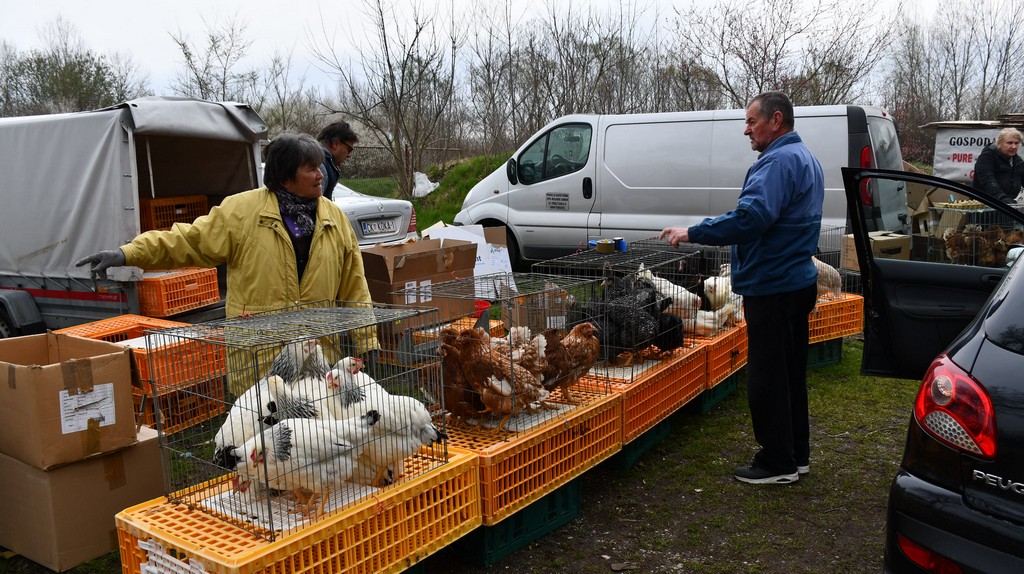 Prohladno jutro na čakovečkom sajmu, no bogata ponuda nije izostala