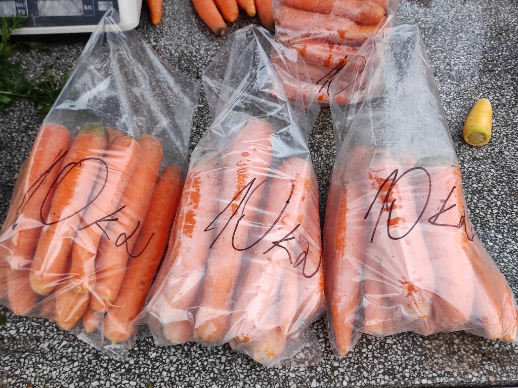 ČAKOVEČKI SAJAM Nema čega nema pa čak i – božićnih žaruljica!