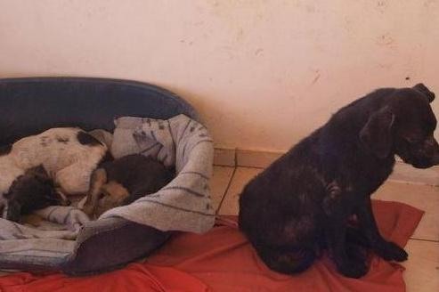 34a57d325d45a7a3e66f00cf4744122