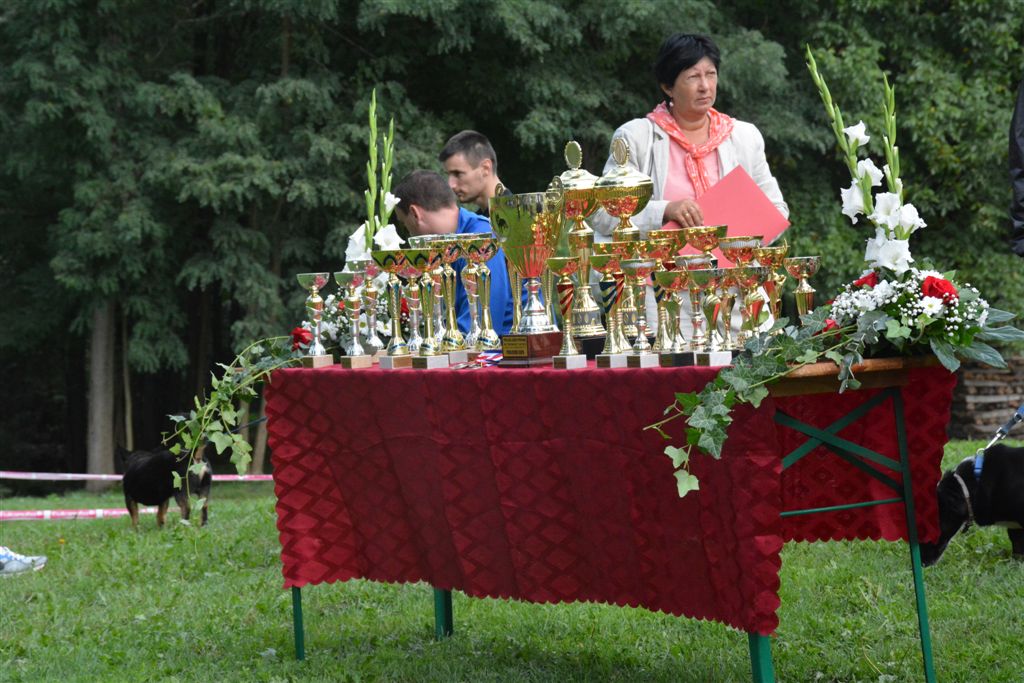 dsc4191kopijakopija341917