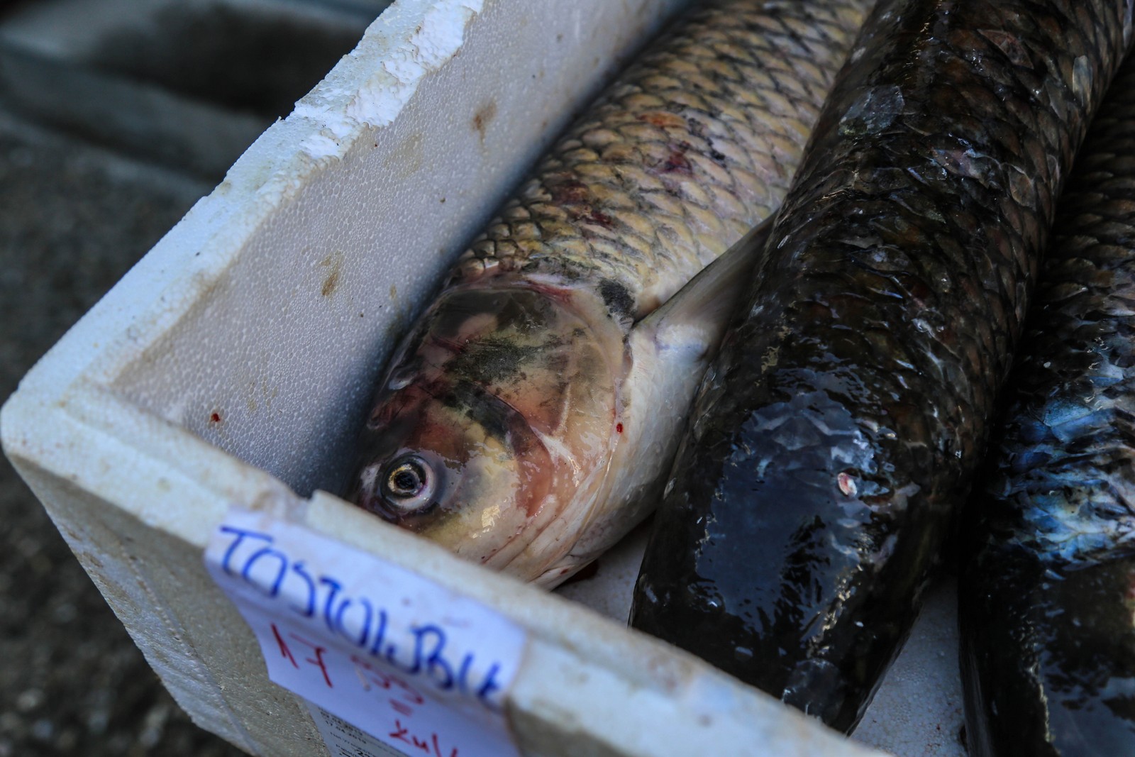 Čakovečki plac na Veliki petak