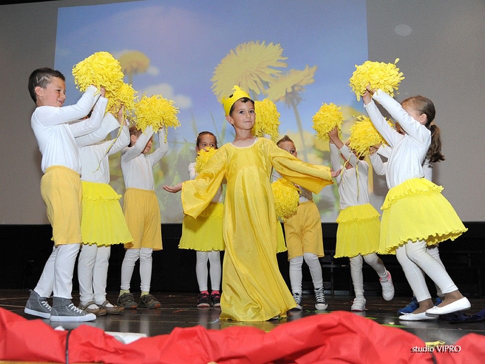 357315564vipro042823754