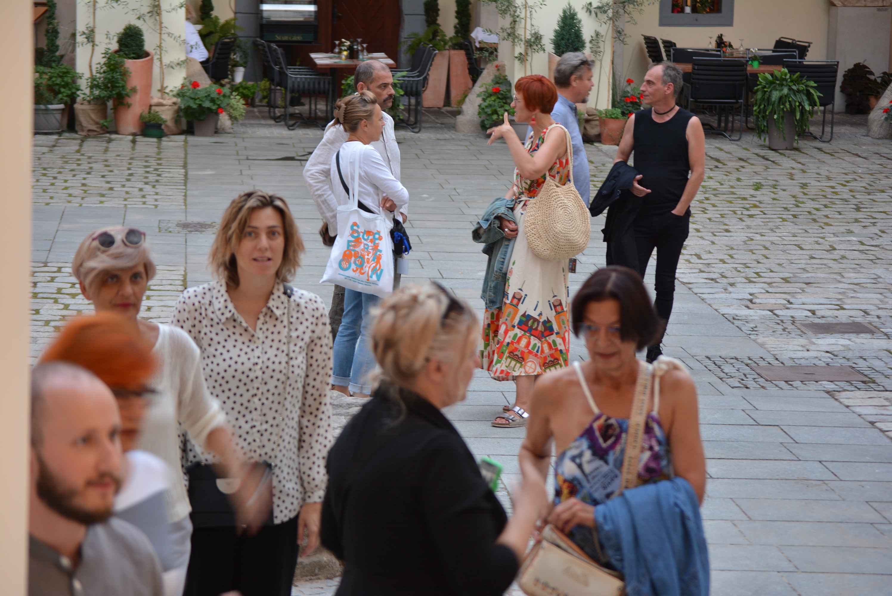 VIDEO I FOTO Izniman 8. Zrinski Art Festival: Trash Art, ples i čarolija u Čakovcu