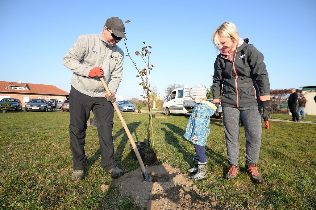 FOTO Velik broj građana subotnje prijepodne iskoristio za sadnju stabala u Čakovcu