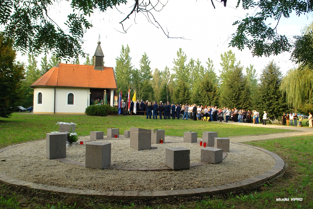 309012989dsc03210520482