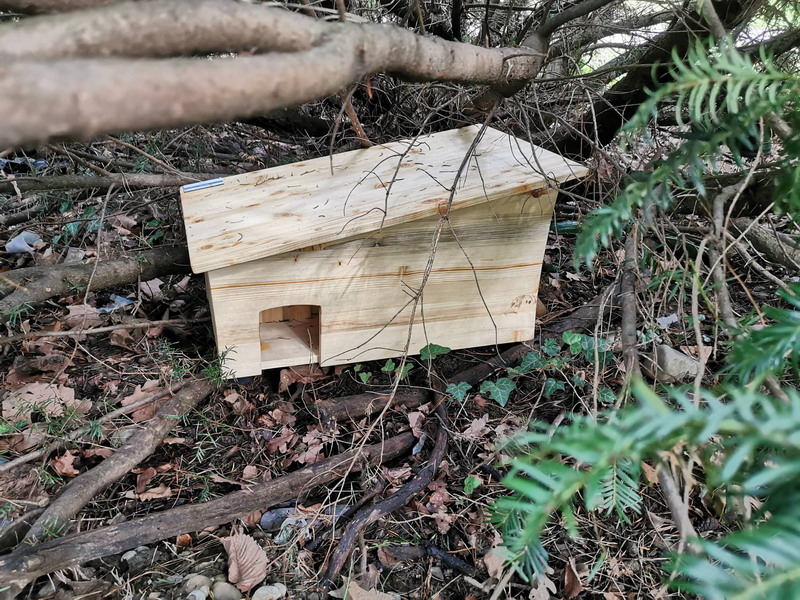 Moderan hotel za korisne kukce u Perivoju Zrinski prima prve goste!