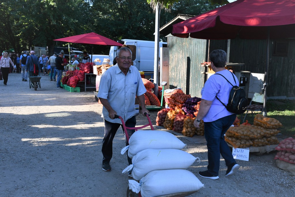 Čakovečki sajam (srijeda, 6.9.2023.)