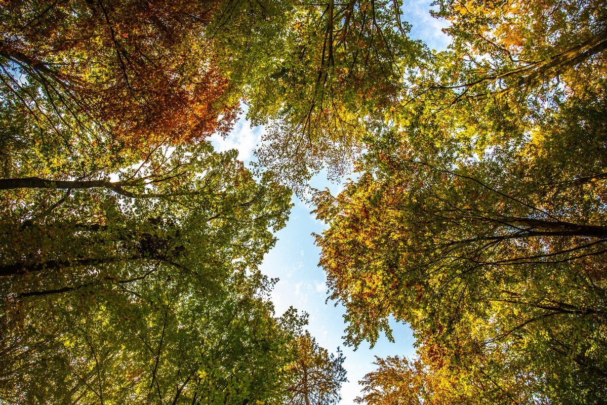 Jesenska rapsodija kroz objektiv Miroslave Novak