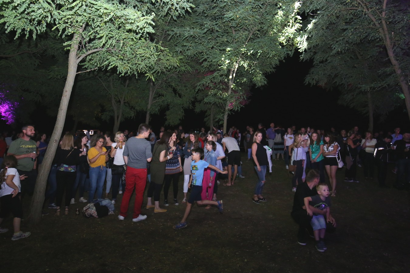 Odličan koncert Vatre u predivnom ambijentu Mađerkinog brega