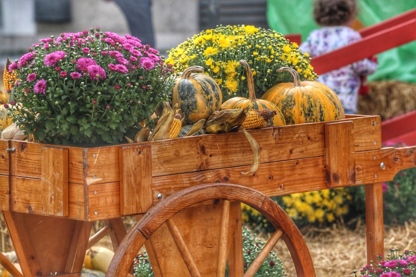 JESEN U GRADU ZRINSKIH Čakovec ‘obukao’ predivno jesensko ruho