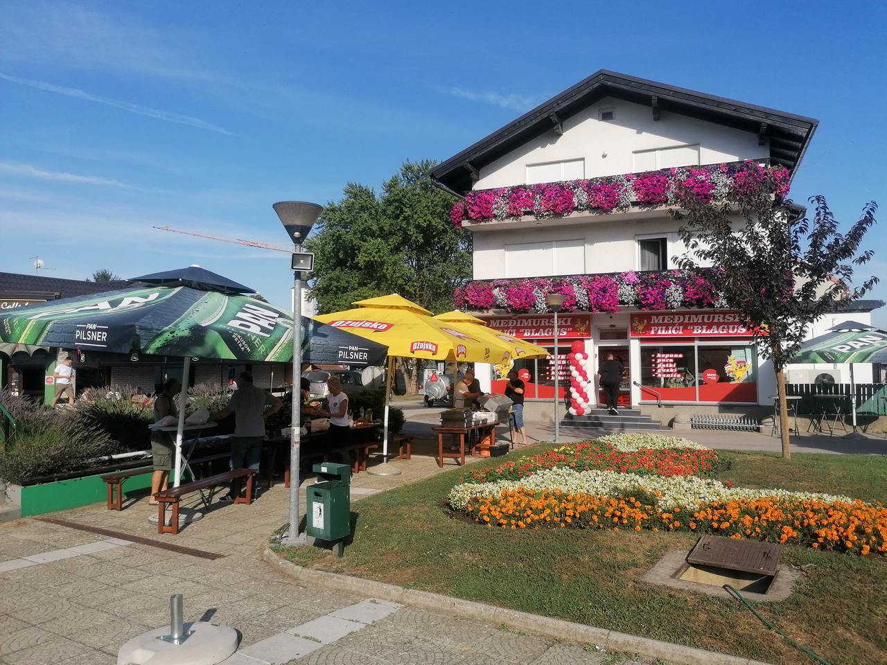 Image 5426480 (auto)