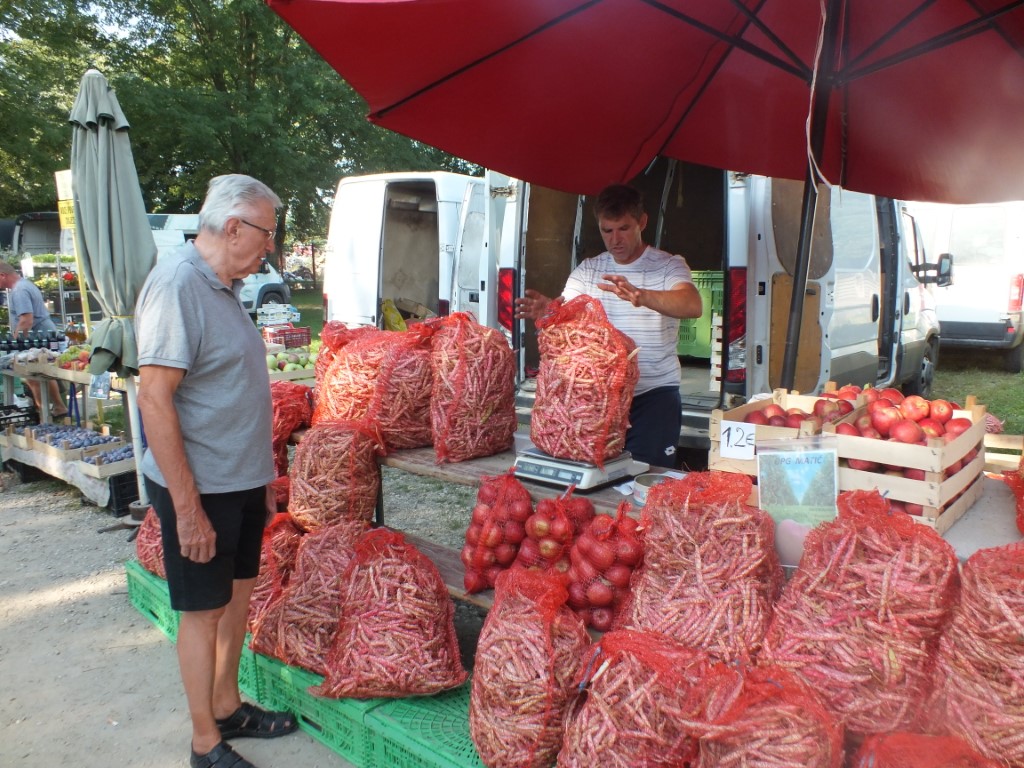 Image 5810861 (auto)