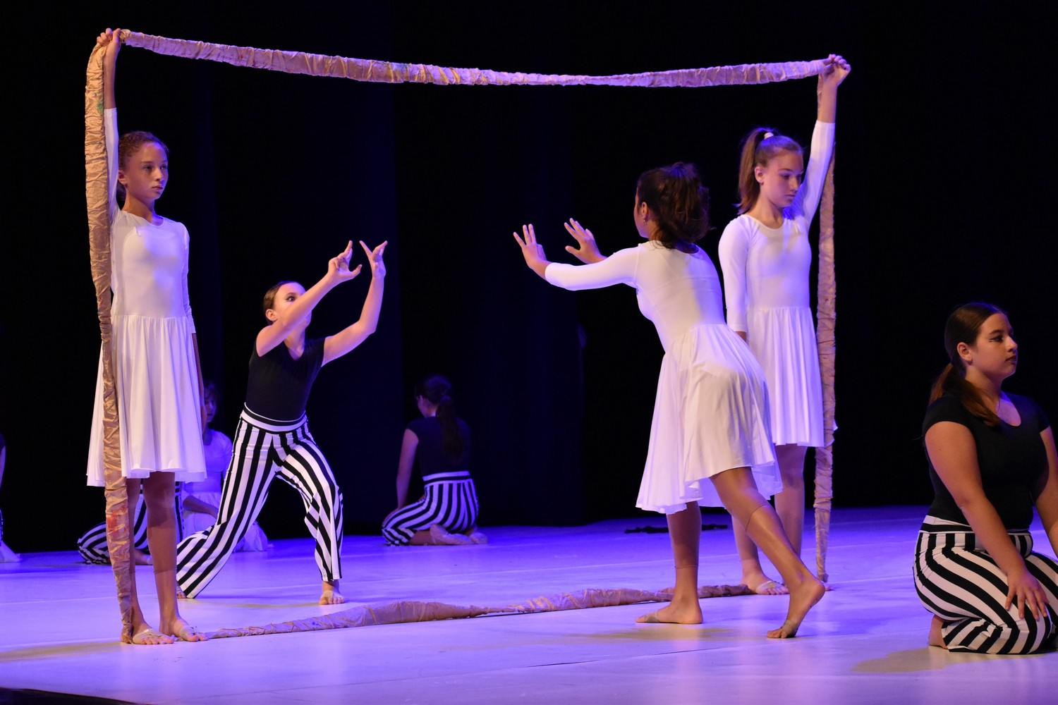 Sedma Revija plesa Studia Vivona u Čakovcu