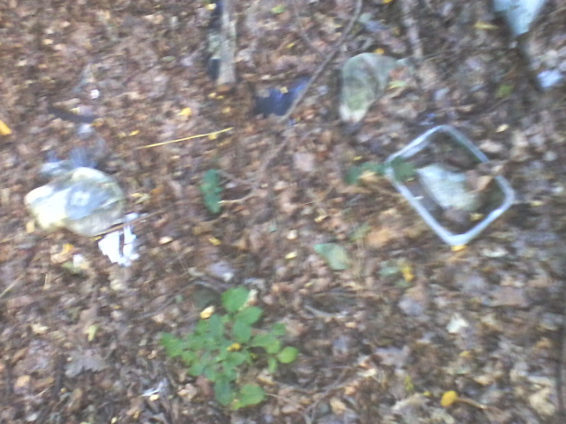 fotografija0040251704