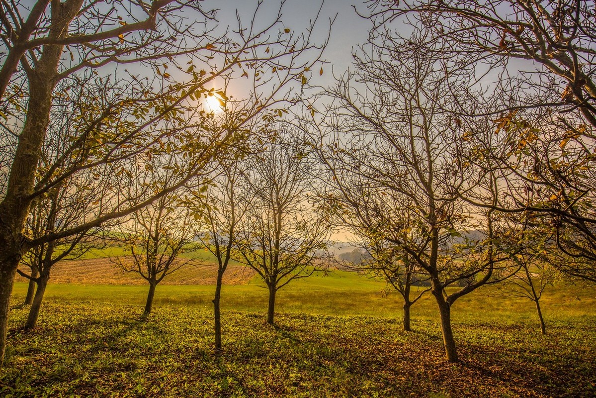 Jesenska rapsodija kroz objektiv Miroslave Novak