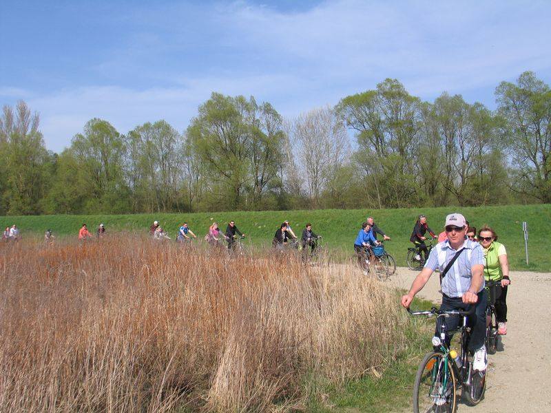 1252414310204634862670579847135