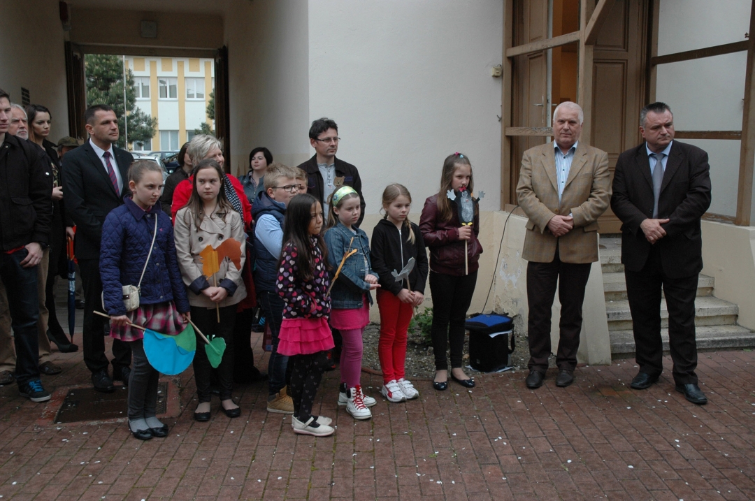 kraljevrodendan4554977