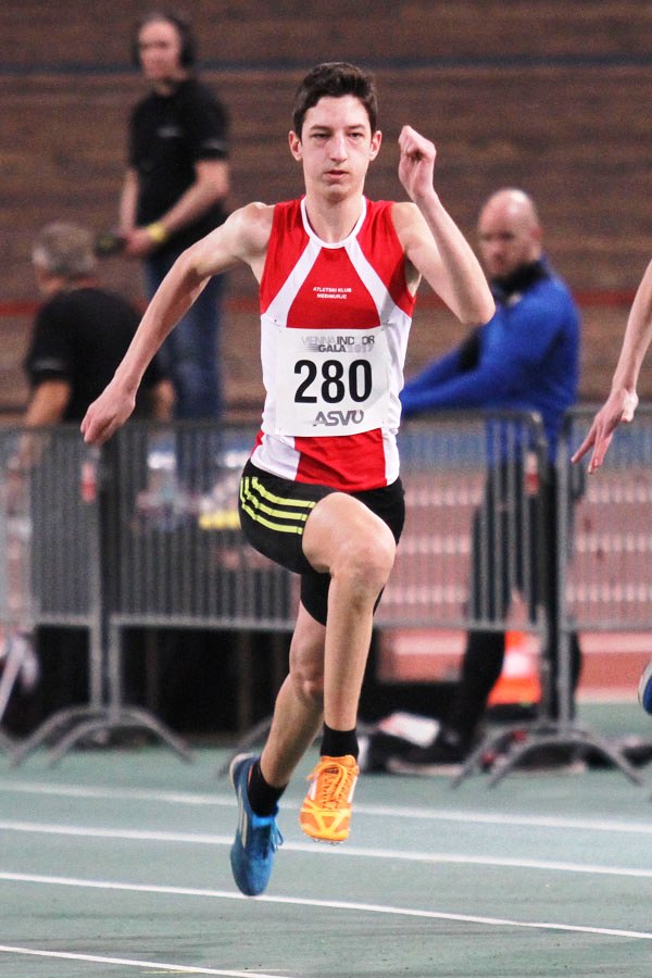 ariansaric16501912790