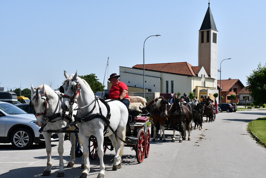 VIDEO I FOTO Međunarodno konjičko druženje okupilo brojne uzgajivače konja iz SZ Hrvatske te Slovenije i Austrije